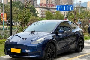 Model Y 特斯拉 改款 長續(xù)航全輪驅(qū)動版