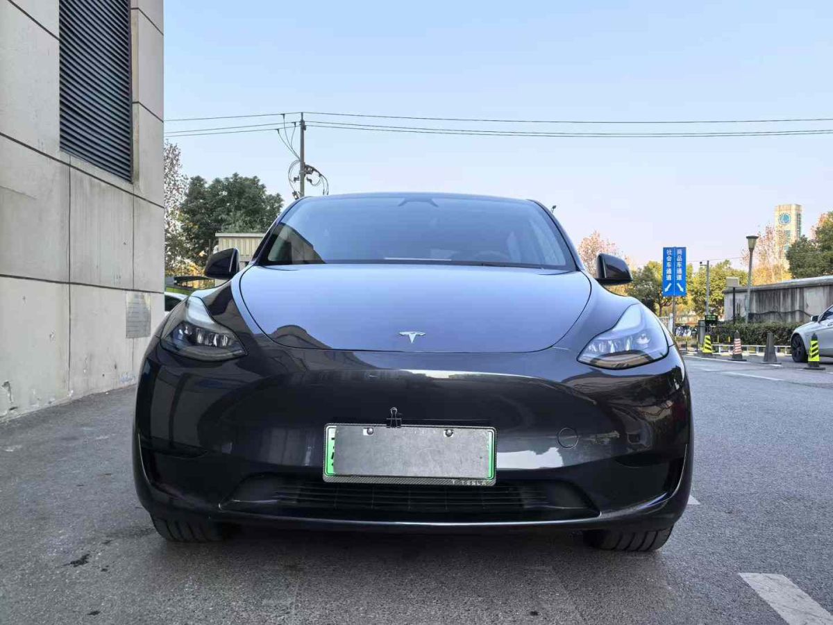 特斯拉 Model Y  2024款 Performance高性能版圖片