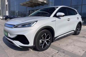 元UP 比亞迪 301KM 領(lǐng)先型