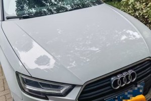 奥迪A3 奥迪 Sportback 35 TFSI 时尚型 国VI