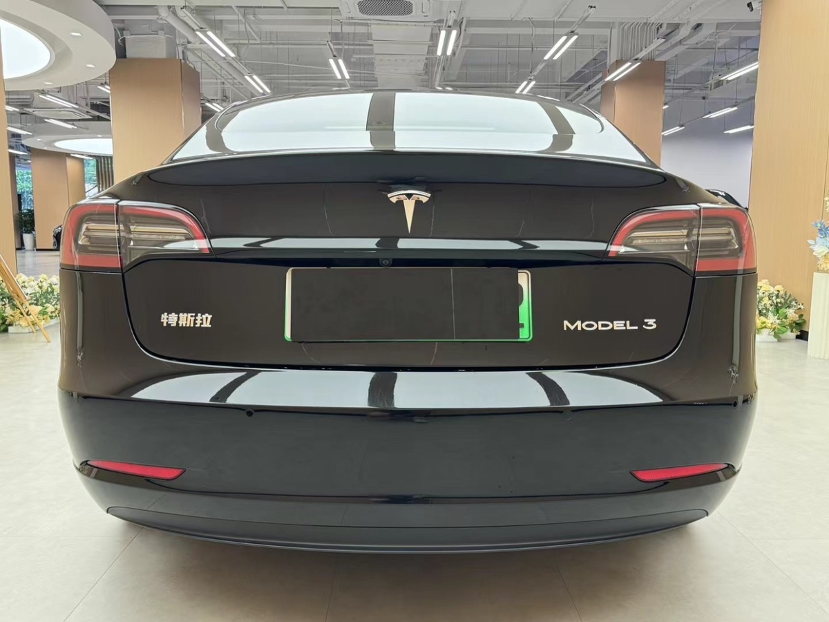 特斯拉 Model 3  2019款 Performance高性能全輪驅(qū)動版圖片