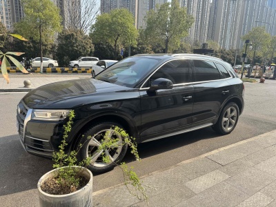 2019年4月 奧迪 奧迪Q5L 40 TFSI 榮享進(jìn)取型 國(guó)VI圖片