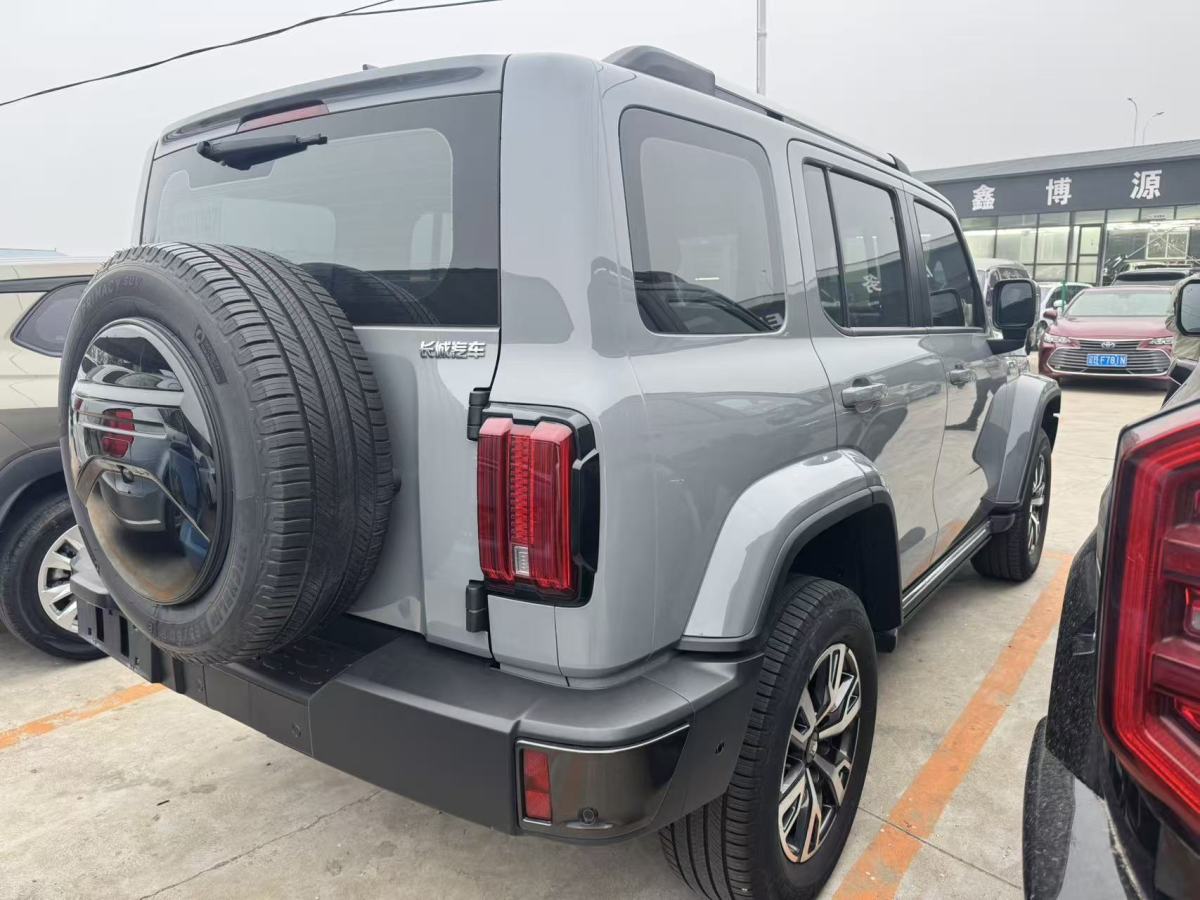 坦克 坦克300  2021款 城市版 2.0T 我看型圖片