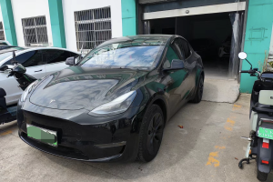 Model Y 特斯拉 长续航焕新版 双电机全轮驱动