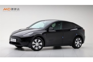 Model Y 特斯拉 改款 長續(xù)航全輪驅(qū)動版