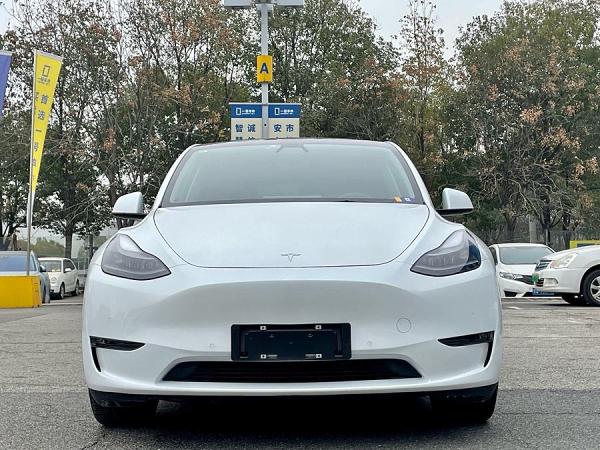 特斯拉 Model Y  2021款 長續(xù)航全輪驅動版 3D7圖片