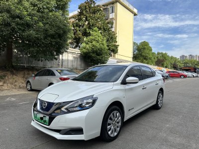 2020年3月 日產(chǎn) 軒逸?純電 舒適版圖片