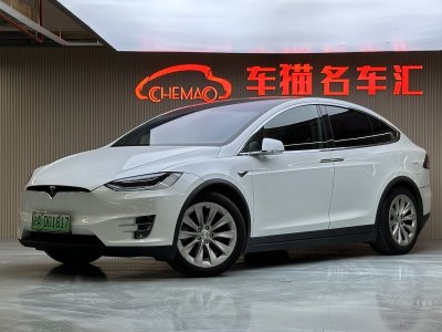 2020年1月 特斯拉 Model X 長(zhǎng)續(xù)航版圖片