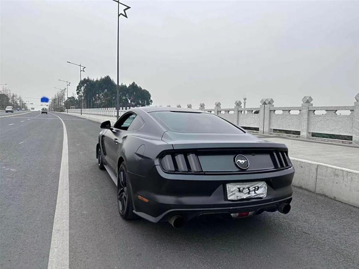 福特 Mustang  2015款 2.3T 性能版圖片