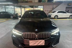 宝马5系 宝马 530Li xDrive 豪华套装