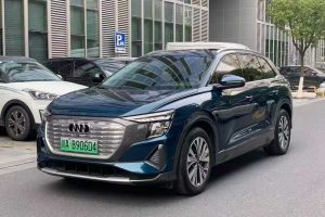 奧迪Q5 e-tron 奧迪 50 e-tron quattro 光耀型 機(jī)甲套裝