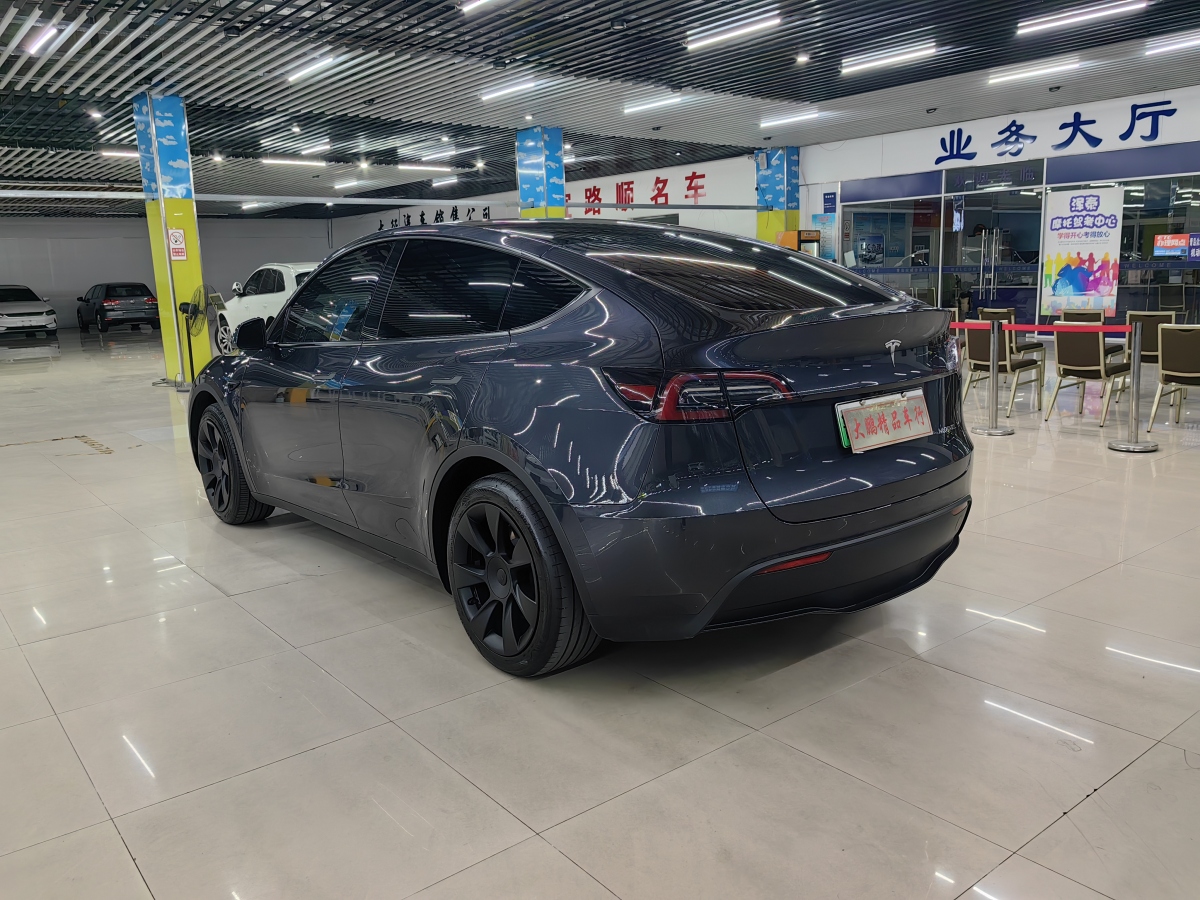 特斯拉 Model Y  2020款 改款 長(zhǎng)續(xù)航后輪驅(qū)動(dòng)版圖片