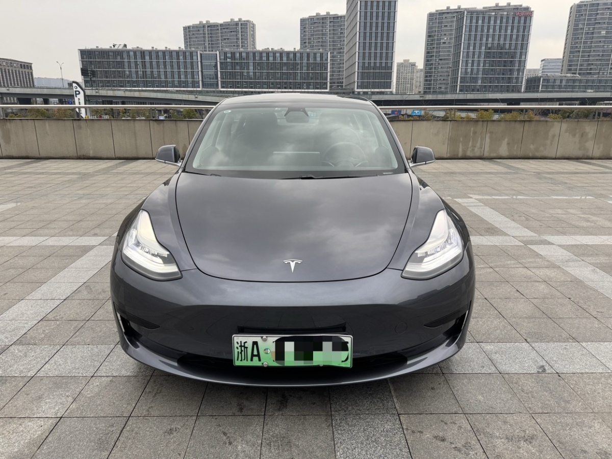 特斯拉 Model 3  2019款 標準續(xù)航后驅(qū)升級版圖片