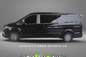 威霆 奔驰 2.0T 商务版 8座