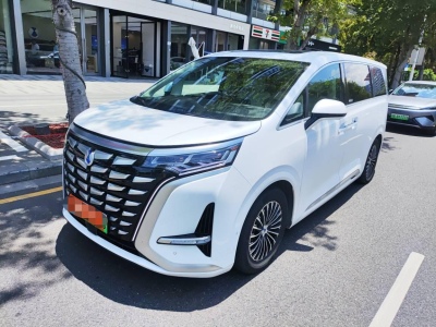 2024年6月 騰勢 騰勢D9 DM-i 980 四驅(qū)旗艦型圖片
