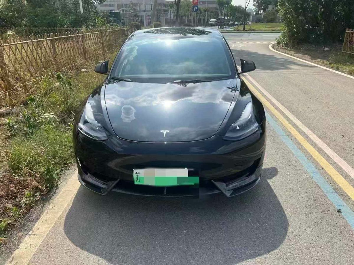 特斯拉 Model Y  2022款 Performance高性能全輪驅(qū)動版圖片