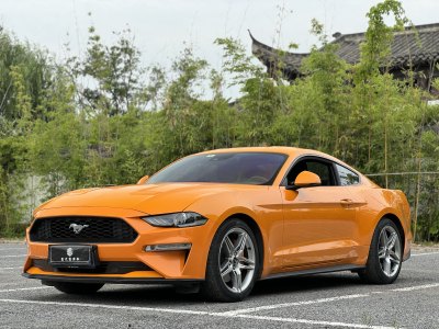 2019年8月 福特 Mustang(进口) 2.3L EcoBoost 性能加强版图片