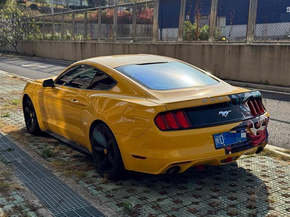 福特 Mustang  2015款 2.3T 性能版圖片