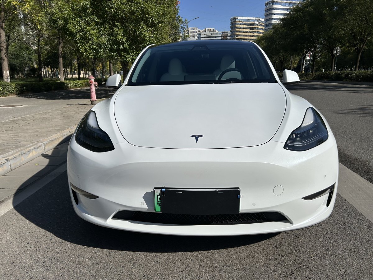 特斯拉 Model Y  2021款 改款 Performance高性能全輪驅(qū)動(dòng)版圖片