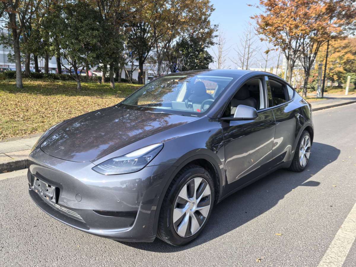 特斯拉 Model Y  2022款 后驅(qū)版圖片