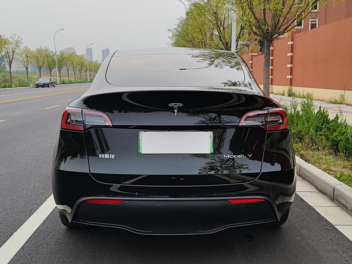 特斯拉 Model Y  2020款 改款 長續(xù)航后輪驅(qū)動(dòng)版圖片