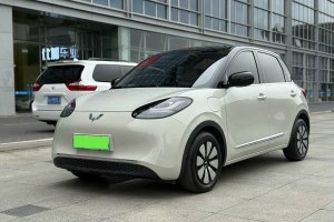 五菱繽果 五菱 333km 靈犀互聯(lián)+款