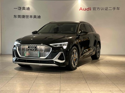 2021年6月 奥迪 奥迪e-tron 50 quattro 臻选型图片