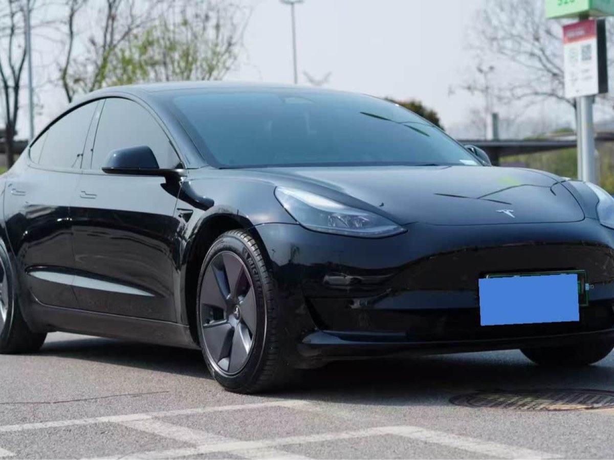 特斯拉 Model 3  2022款 后輪驅(qū)動版圖片