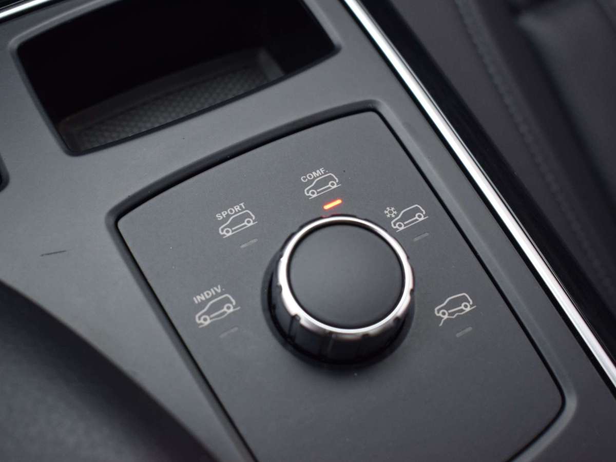 奔馳 奔馳GLE  2016款 GLE 320 4MATIC 動(dòng)感型圖片