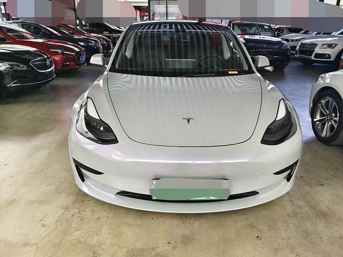 特斯拉 Model Y  2021款 改款 標(biāo)準(zhǔn)續(xù)航后驅(qū)升級(jí)版圖片