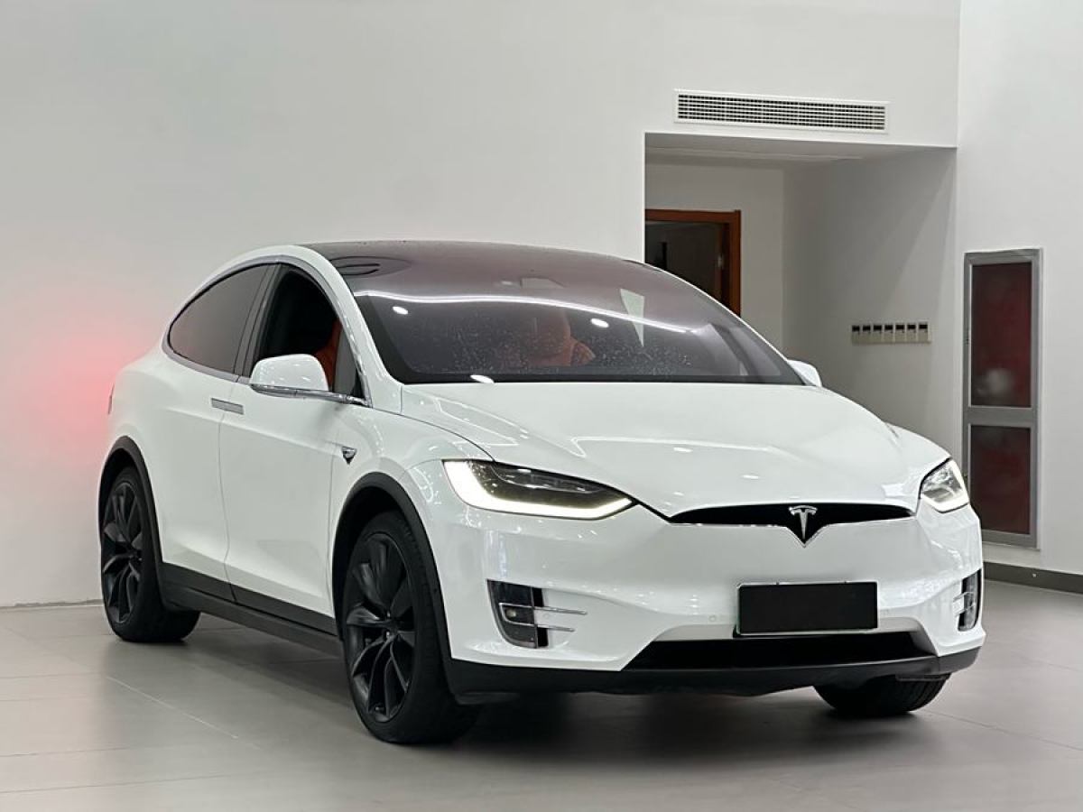 特斯拉 Model X  2017款 Model X 100D 長(zhǎng)續(xù)航版圖片