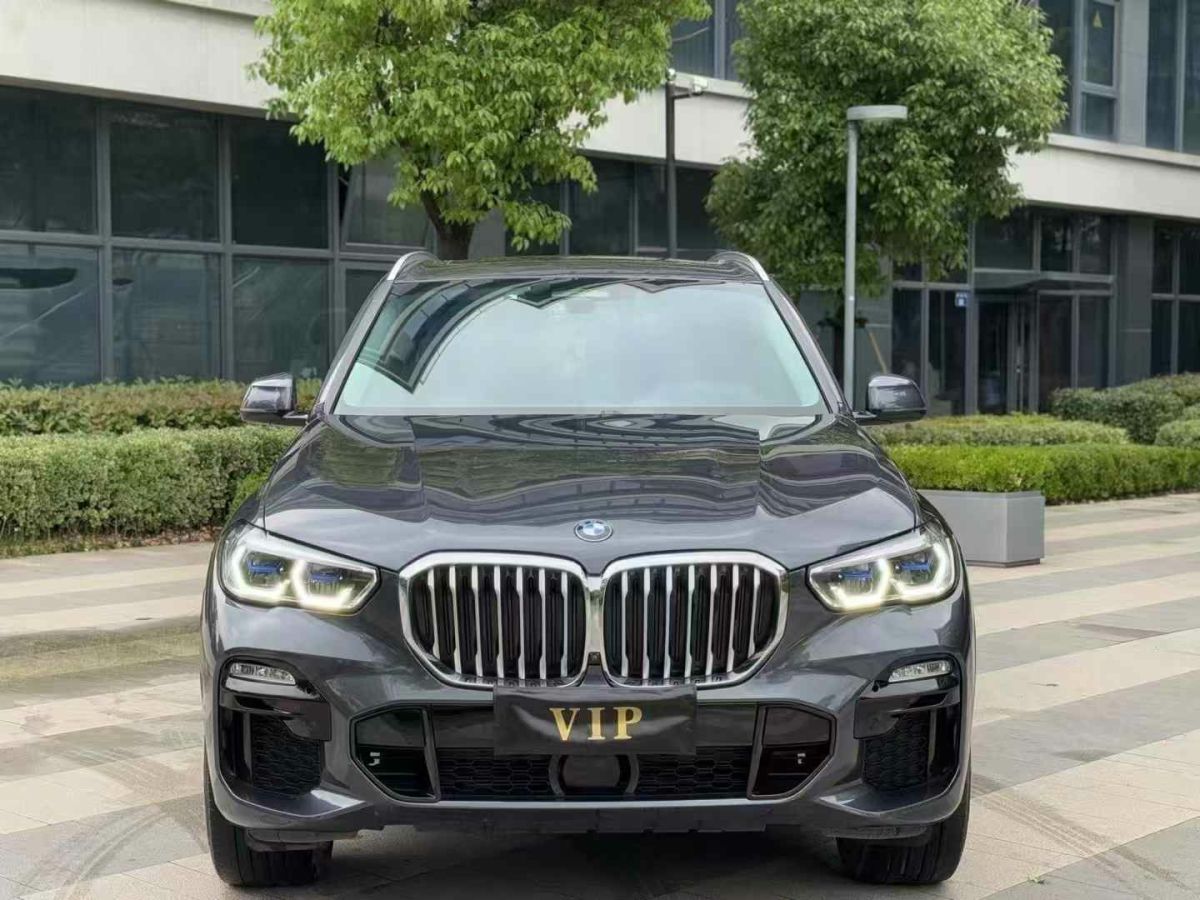 寶馬 寶馬X5  2021款 xDrive30i X設(shè)計(jì)套裝圖片