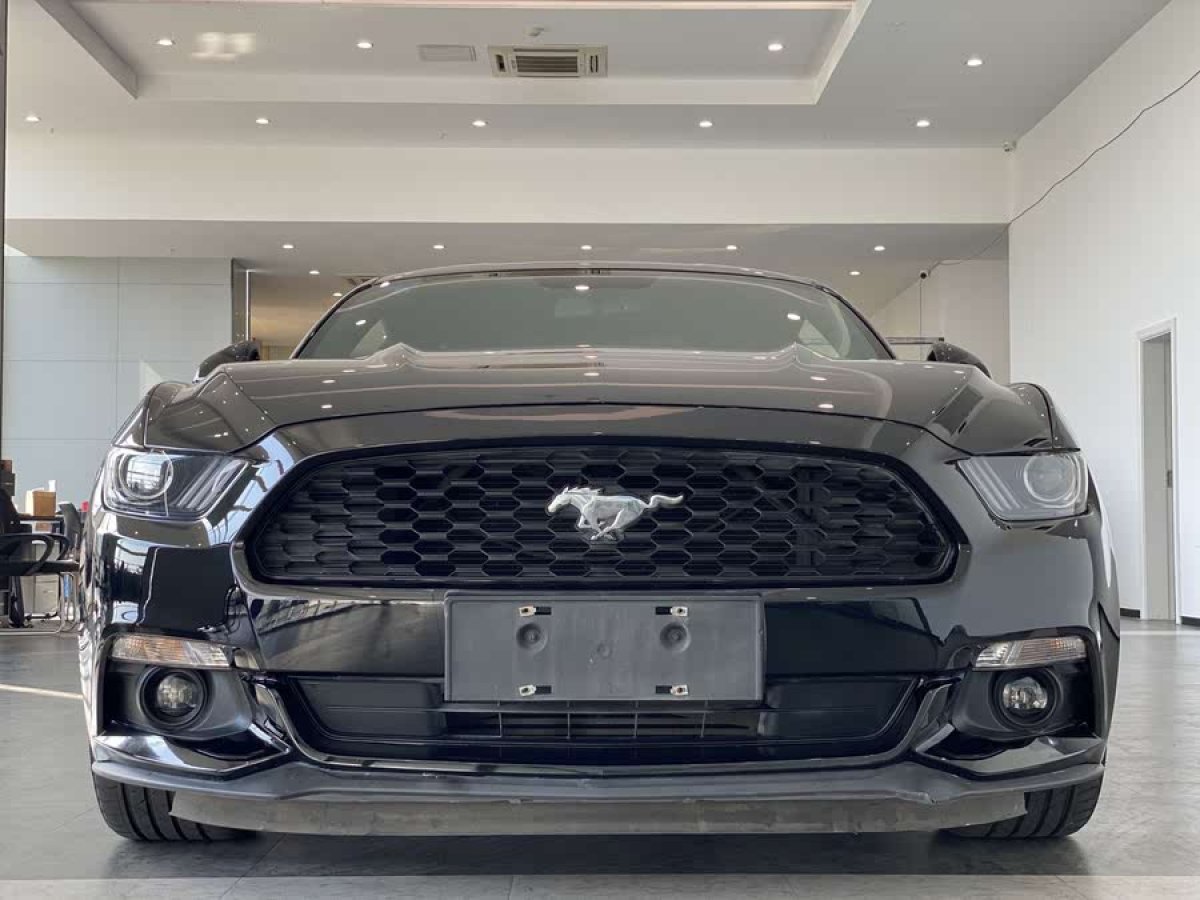 福特 Mustang  2015款 2.3T 性能版圖片