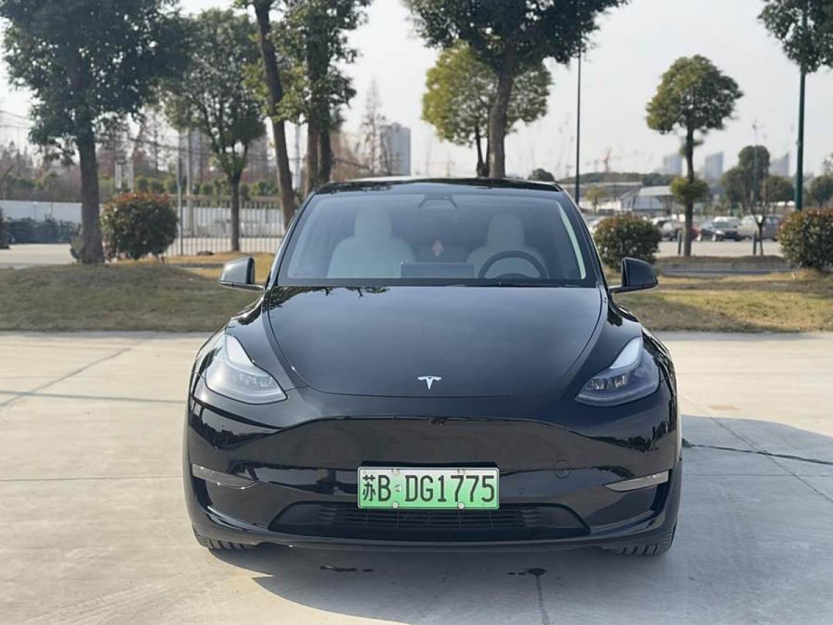 特斯拉 Model 3  2021款 改款 Performance高性能全輪驅動版圖片