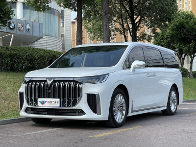 2023年10月 岚图 梦想家 PHEV 超长续航尊贵版图片