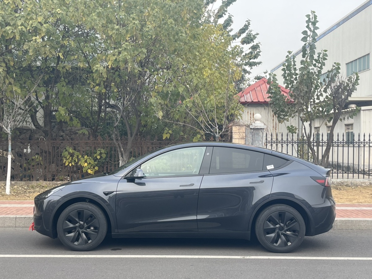 特斯拉 Model 3  2022款 后輪驅(qū)動(dòng)版圖片