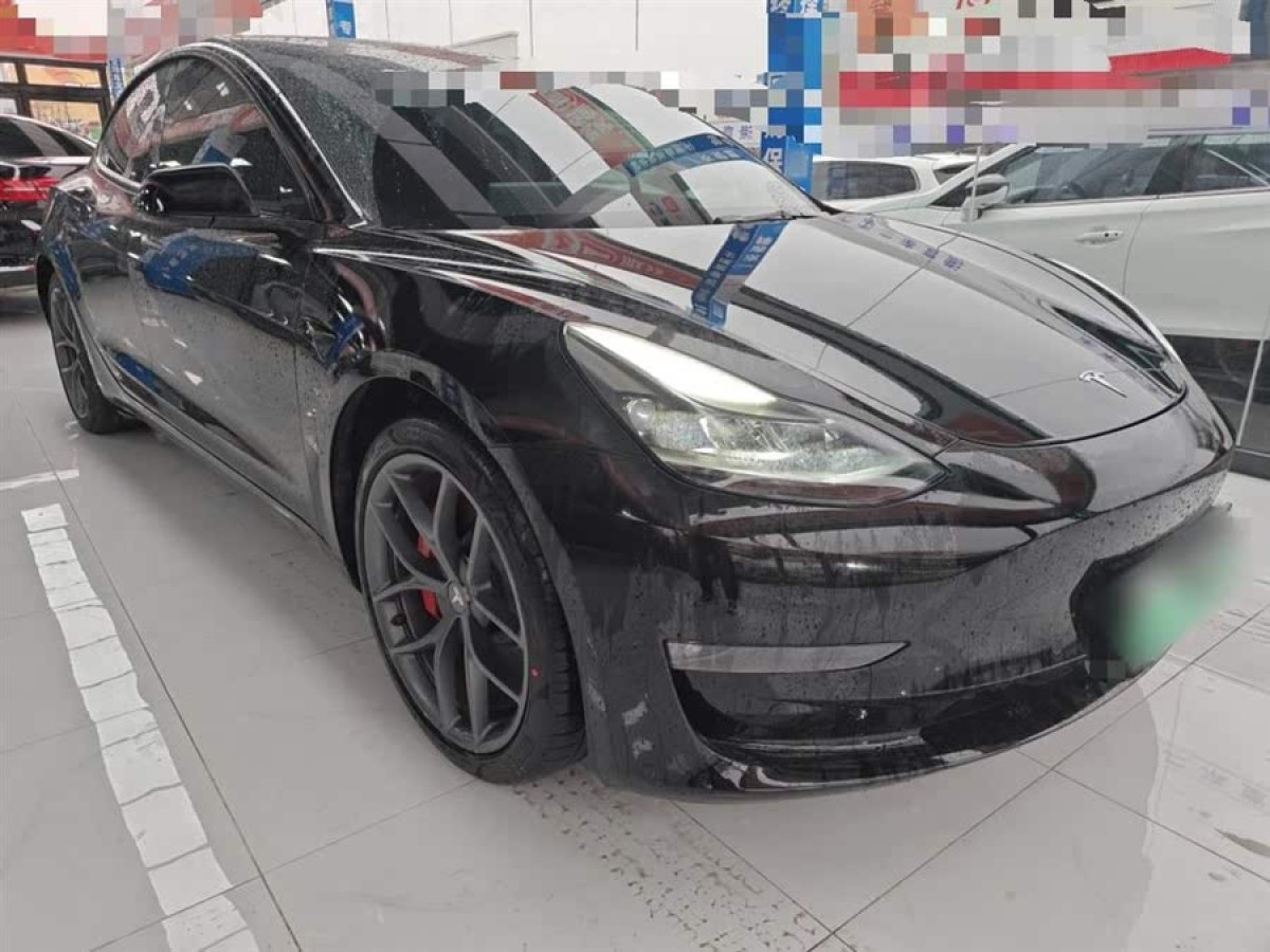 特斯拉 Model 3  2021款 改款 Performance高性能全輪驅(qū)動版圖片