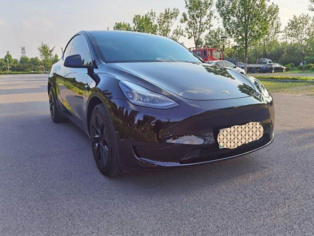 特斯拉 Model 3  2022款 后輪驅(qū)動版圖片