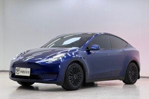 Model Y 特斯拉 后轮驱动版