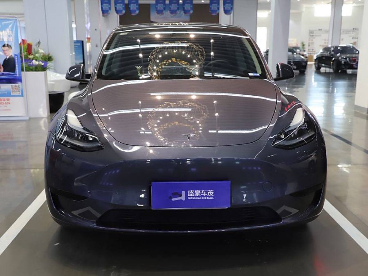 特斯拉 Model 3  2020款 改款 長續(xù)航后輪驅(qū)動版圖片