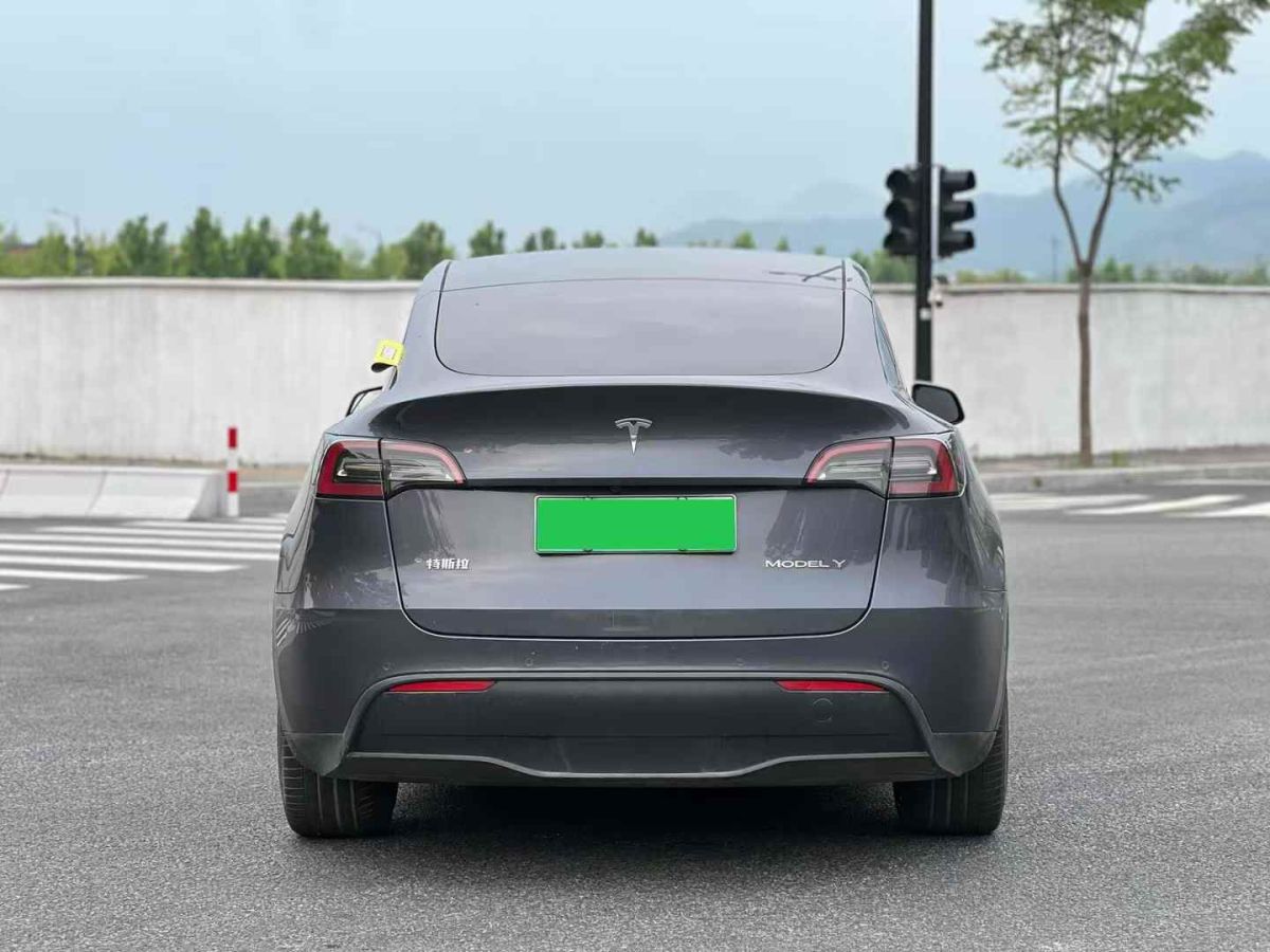 特斯拉 Model S  2021款 Performance 高性能版圖片