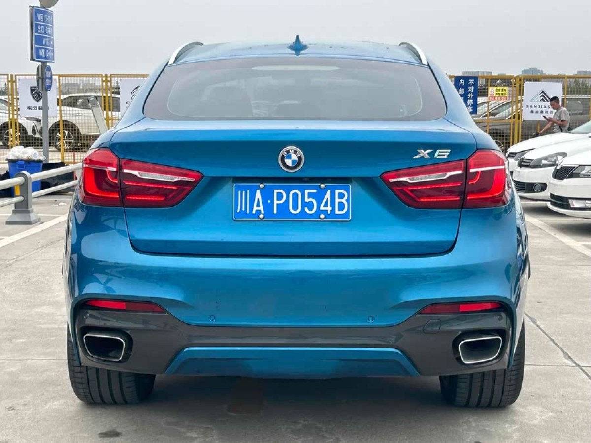 寶馬 寶馬X6  2018款 xDrive35i 領先型圖片