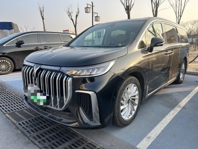 2024年6月 嵐圖 夢想家 PHEV 超長續(xù)航尊貴版圖片