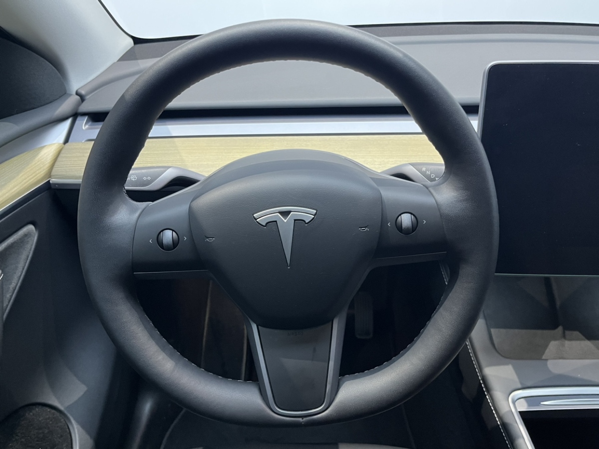 特斯拉 Model Y  2022款 后驅(qū)版圖片