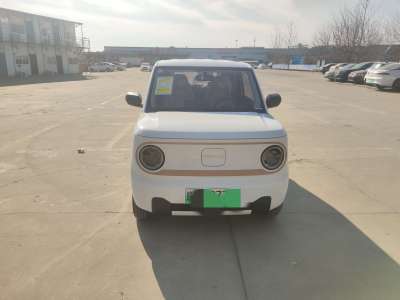 2024年11月 吉利 熊貓mini 210km 熊貓卡丁圖片