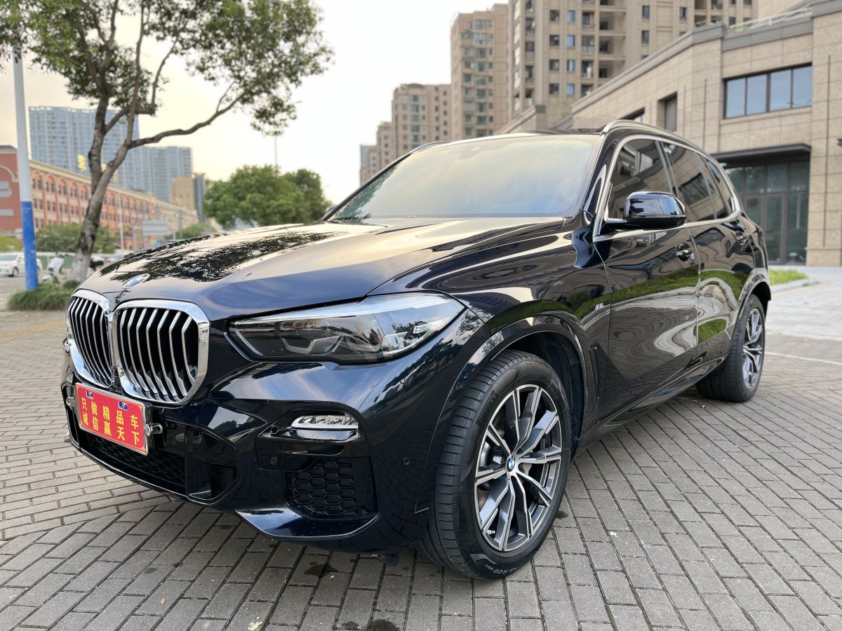 寶馬 寶馬X5  2020款 xDrive30i M運(yùn)動(dòng)套裝圖片