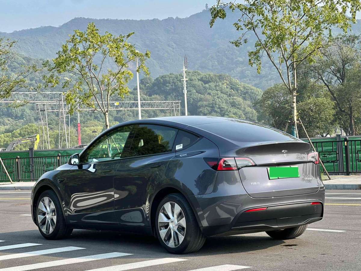 特斯拉 Model Y  2021款 改款 標(biāo)準(zhǔn)續(xù)航后驅(qū)升級版圖片