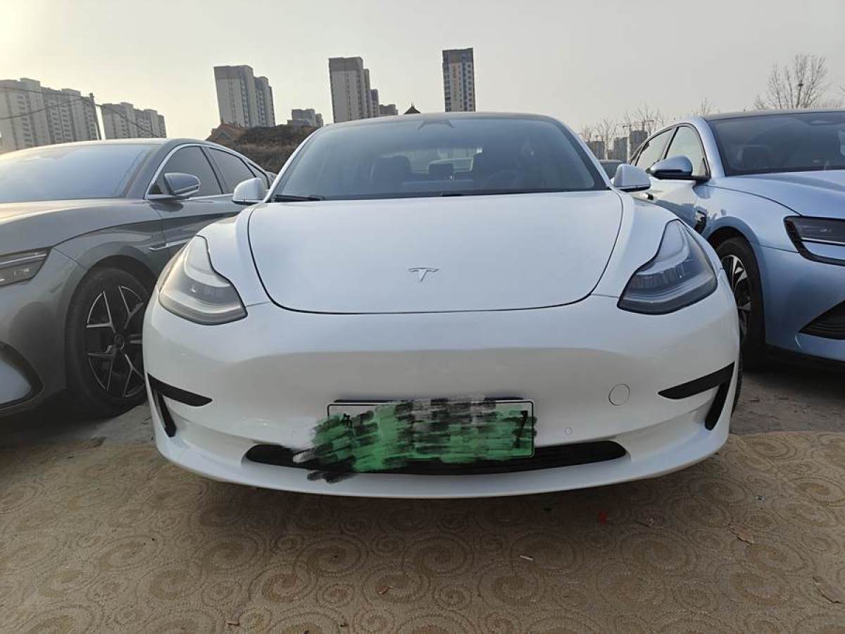 特斯拉 Model 3  2019款 標準續(xù)航后驅升級版圖片