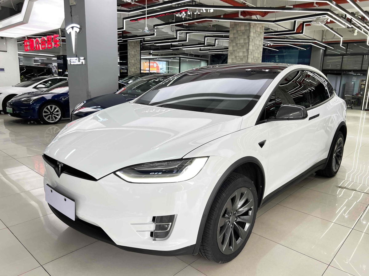 特斯拉 Model X  2019款 長(zhǎng)續(xù)航版圖片