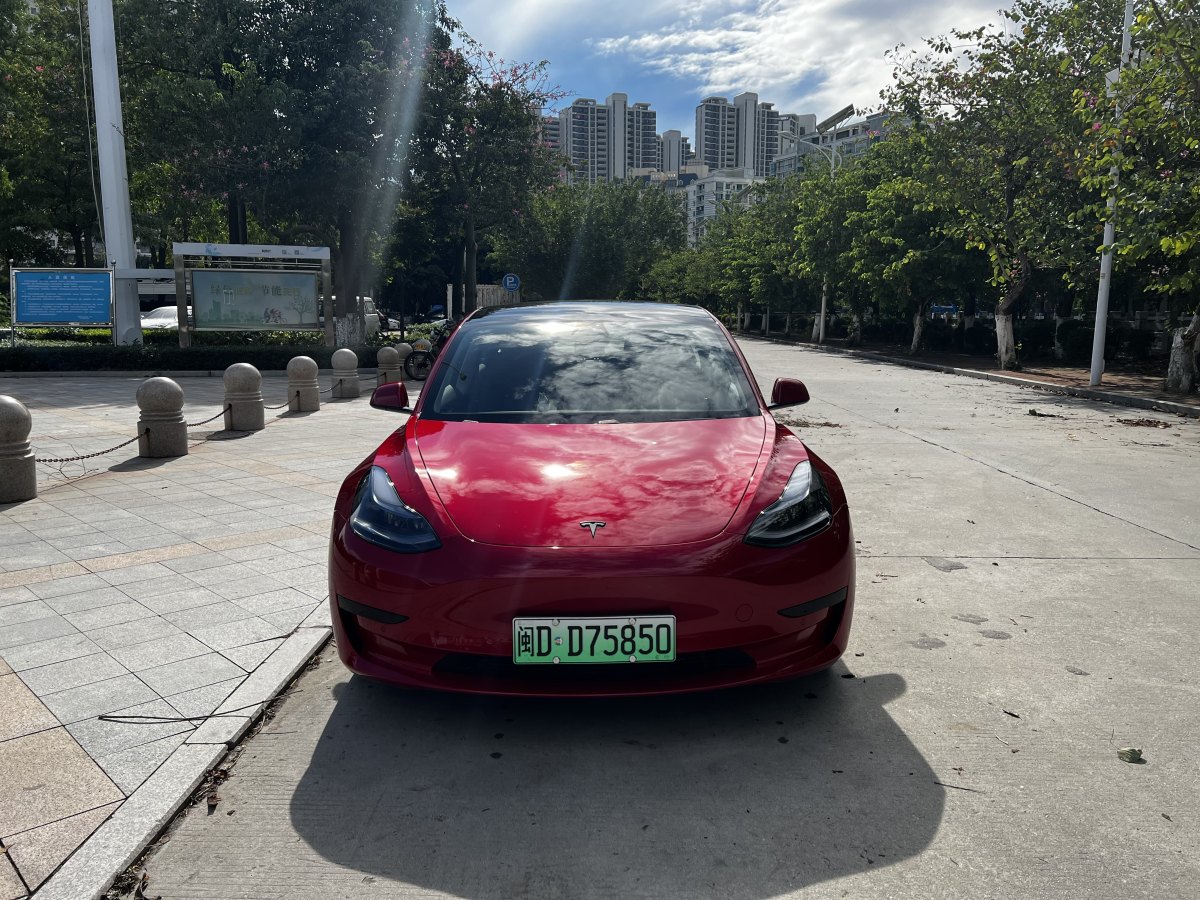 特斯拉 Model 3  2019款 標(biāo)準(zhǔn)續(xù)航后驅(qū)升級(jí)版圖片